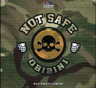 Obibini – Not Safe (More Cover) (Mixed by Konfem)
