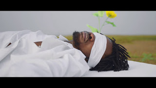 Fameye - LONG LIFE (Ft. Kwesi Arthur) (Official Video)