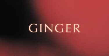 King Promise - Ginger (Prod. by Jae5)