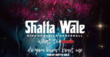 Shatta Wale - What the eff Do You Know About Me (Prod by Shatta Wale)