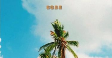 Dammy Krane – Egbe ft. Yaba Buluku Boyz, DJ Tarico, Preck & Nelson Tivane