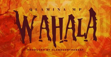 Quamina MP – Wahala (Prod by FlamesOnTheBeat)