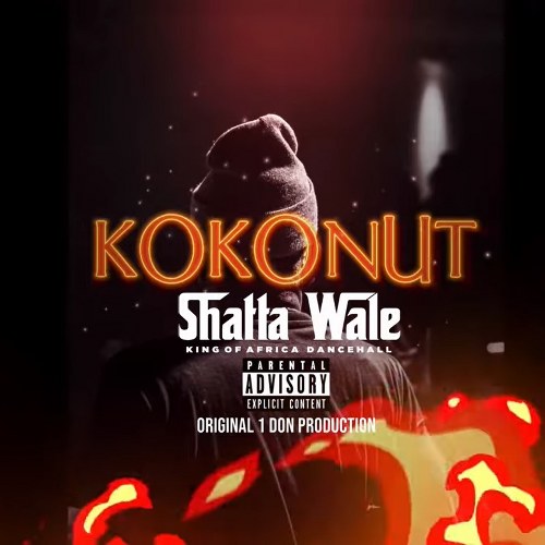 Shatta Wale – Kokonut
