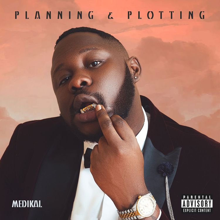Medikal - Planning And Plotting (Full Album)