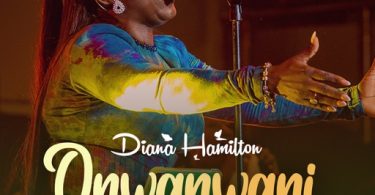 Diana Hamilton - Onwanwani (Wonder Working God) (Live)