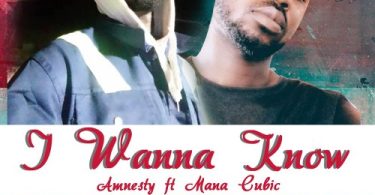 Amnesty - I Wanna Know Ft. Mana Cubic