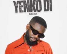 Bisa Kdei – Yenkodi