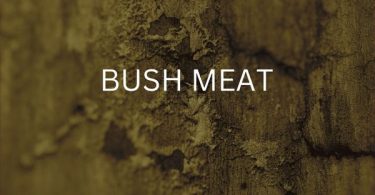 Mandem Yopic - Bush Meat