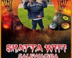 Shatta Wifi - Salewagba (Prod by Viki Beatz)