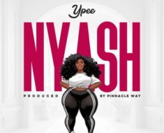 Ypee – Nyash (Prod by Pinnacle Way)