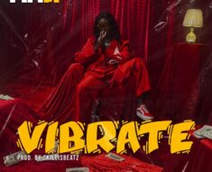 Fina Gh – Vibrate (Prod by SkillisBeatz)