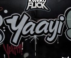 Kweku Flick – Yaayi (Prod by Apya)