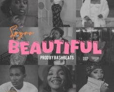 Spyro - Beautiful (Prod by BashBeatz)