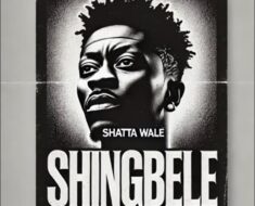 Shatta Wale – Shingbele (Prod by Paq & NawtyBoi)