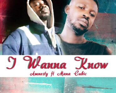 Amnesty – I Wanna Know Ft. Mana Cubic