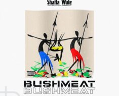 Shatta Wale – Bushmeat (Prod by Paq)