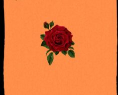 Magnom – Cellular (Prod by Magnom)