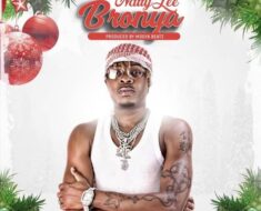 Natty Lee - Bronya (Prod by Mogya Beatz)