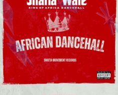 Shatta Wale – African Dancehall (Prod by Damaker & Nawtyboi)