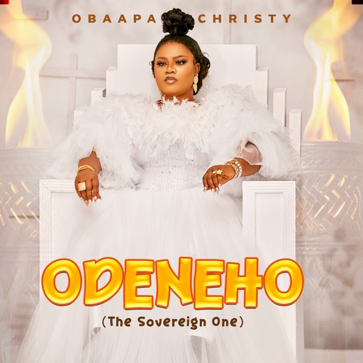 Obaapa Christy - Wako Me Ko
