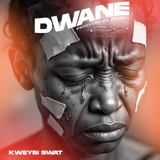 Kweysi Swat - Dwane (Prod by Fredoo)