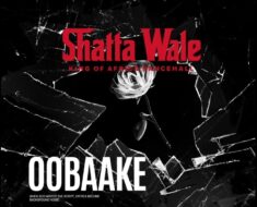 Shatta Wale - Oobaake