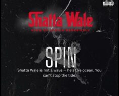 Shatta Wale - Spin (Prod by Nawtyboi Tattoo)
