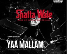 Shatta Wale -Yaa Mallam (Prod by PAQ & Nawtyboi Tattoo)