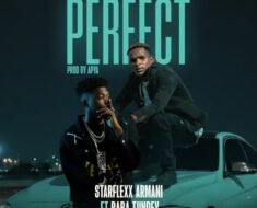 Starflexx Armani - Perfect Ft. Baba Tundey (Prod by Apya)