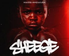 Kwesi Amewuga – Sheege (Prod by Qholabeats)