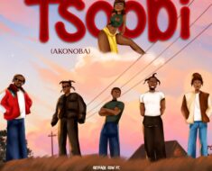 Skyface SDW – Tsoobi (Akonoba) Ft. Lasmid, Jay Bahd, Kwaku DMC & Beeztrap KOTM (Prod by Wiser)